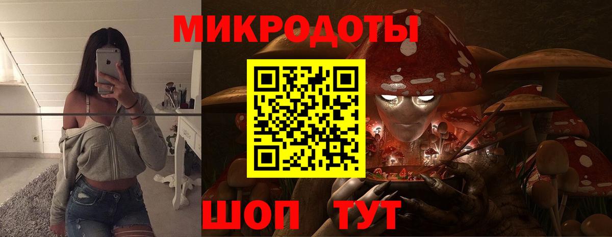 Псилоцибиновые грибы GOLDEN TEACHER Соль-Илецк